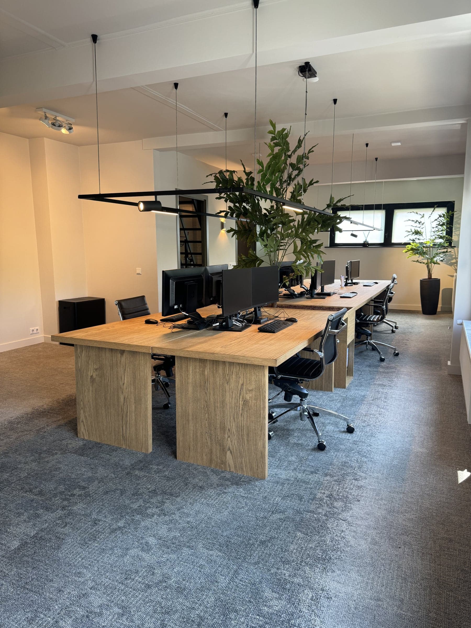 Open kantoorruimte met houten bureaus op maat, bureaustoelen en een grote plant in een accountantskantoor in Oisterwijk